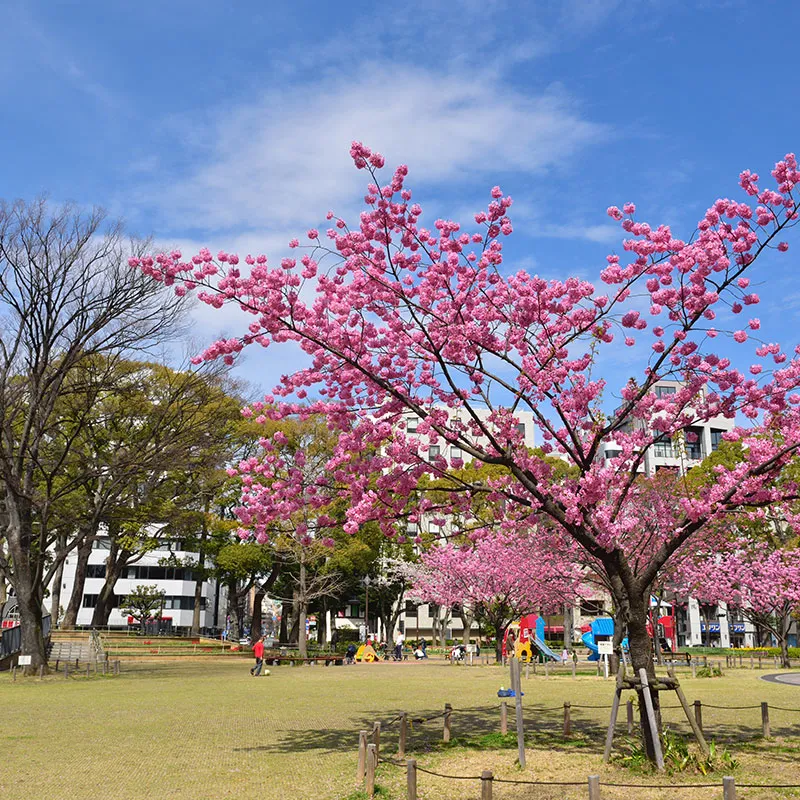 Park