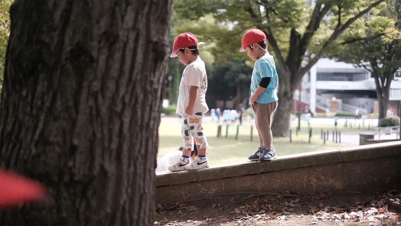 全日制英語幼児園 YMCAグローバルキンダーガーデン 園の概要イメージ