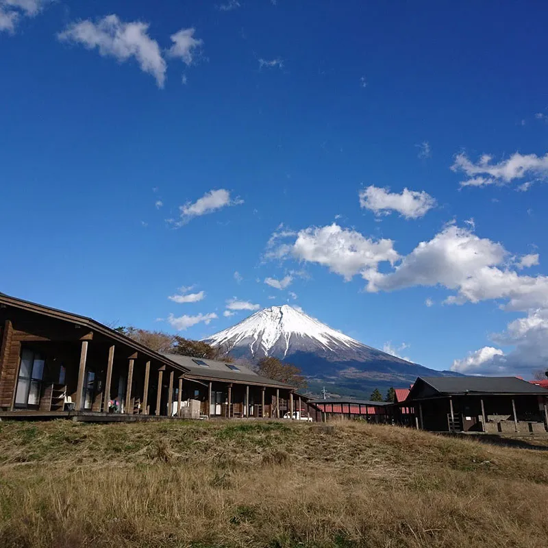 Camp Site